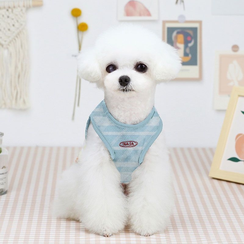 Kawaii Chiikawa Striped Pet Ve - Summer Away Clothing recension och pris